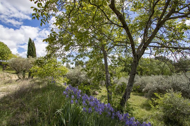 Terrain constructible - 1 180 m²