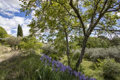 Terrain constructible - 1 180 m²