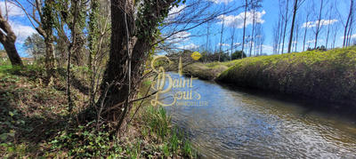 Maison - 350 m² - 10 pièces