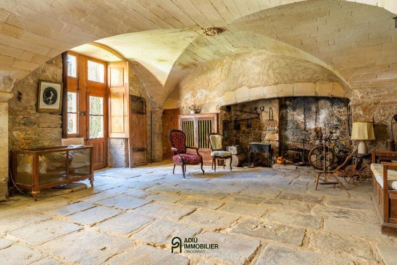 Château - 550 m² - 11 pièces