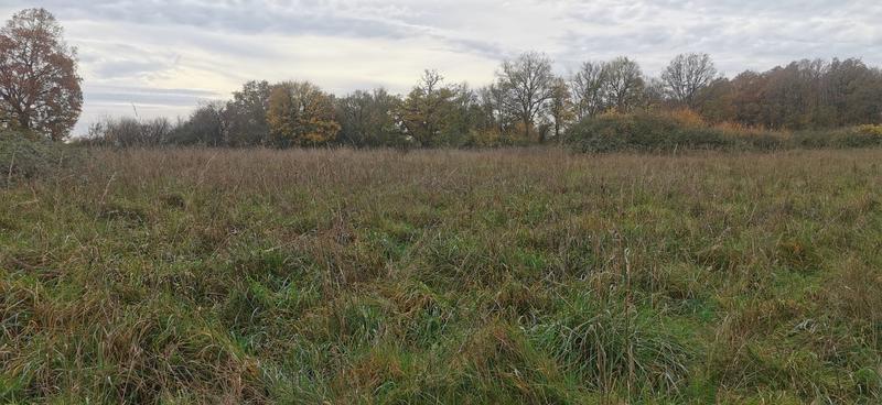 Maison - 167 m² - 9 pièces