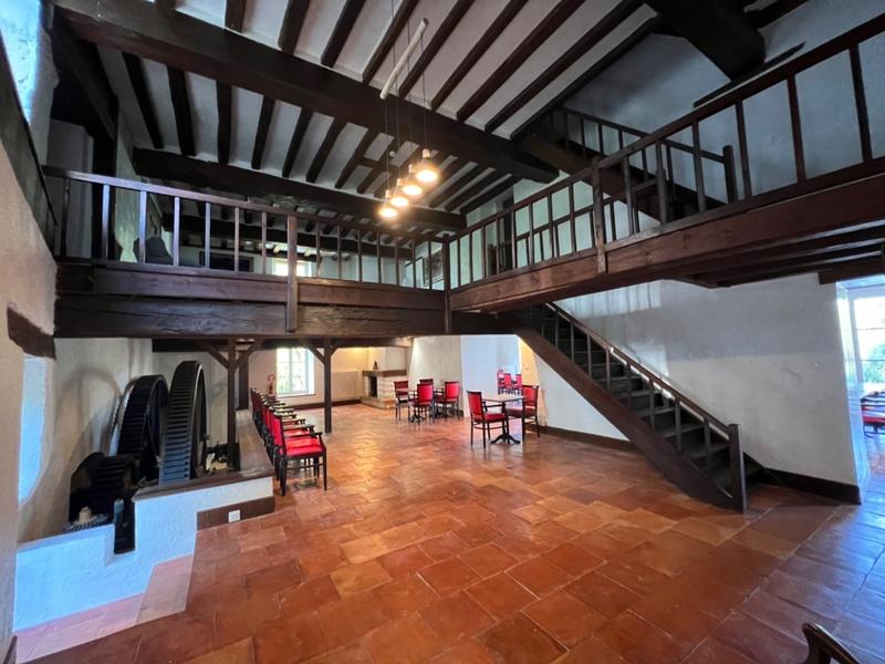 Moulin - 600 m² - 14 pièces