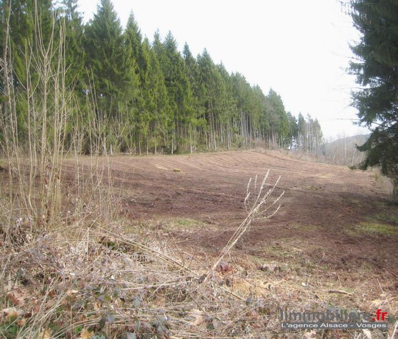 Terrain - 10 078 m²