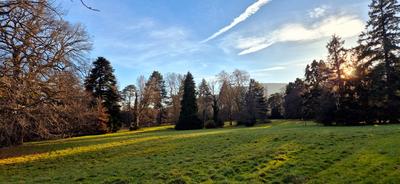 Les aventuriers en herbe