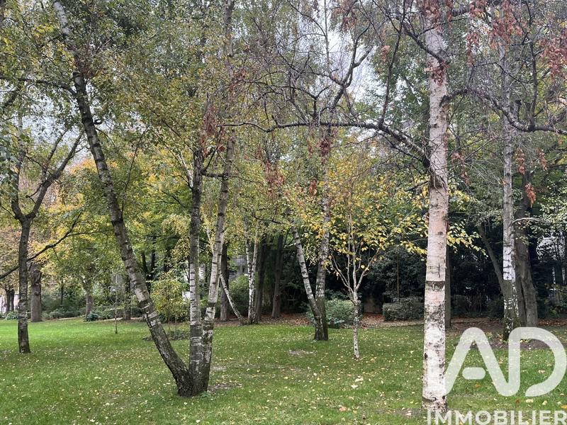 Studio - 24 m² - 1 pièce