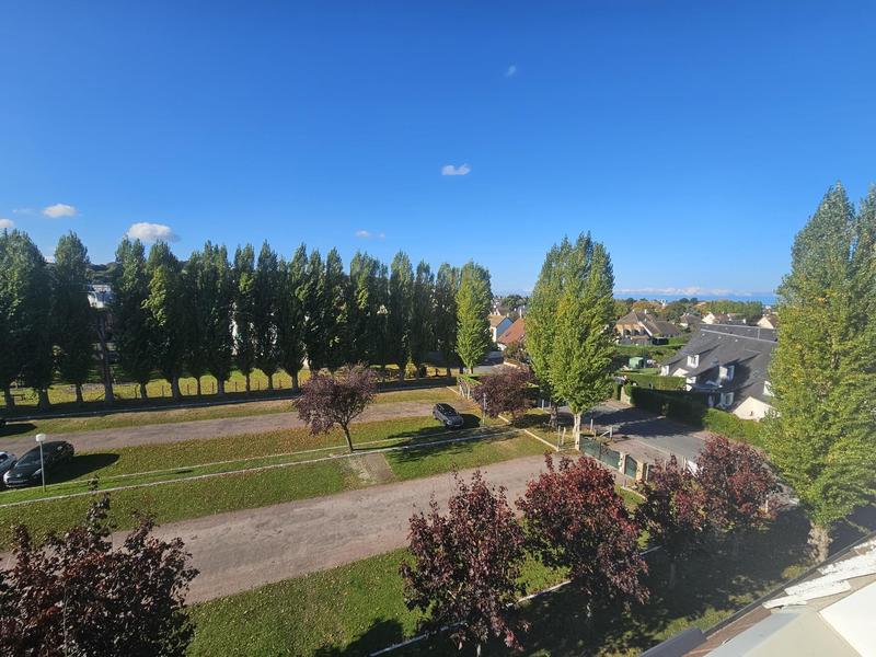 Appartement - 15 m² - 1 pièce