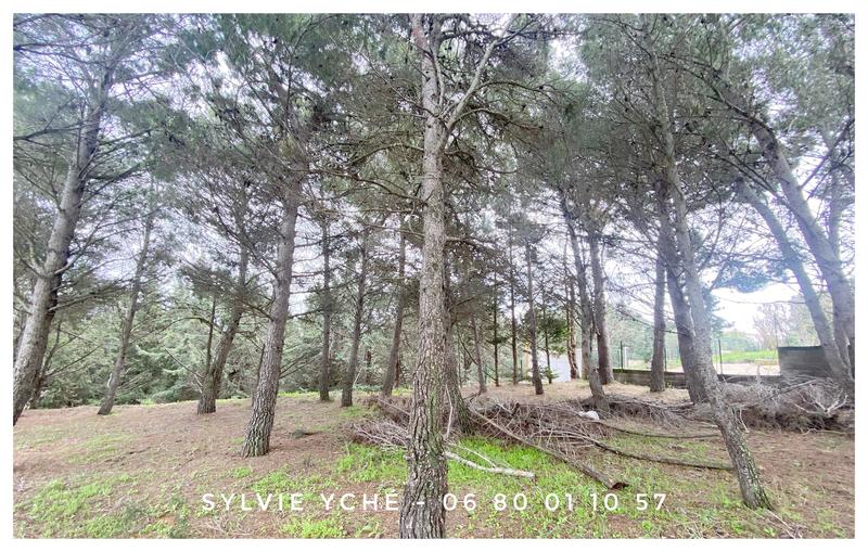 Villa - 115 m² - 4 pièces