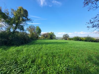 Terrain - 1 532 m²