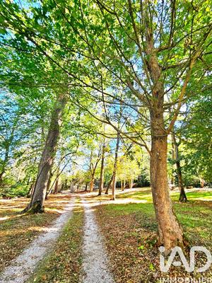 Château - 900 m² - 17 pièces