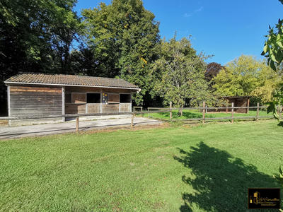 Maison ancienne - 230 m² - 8 pièces