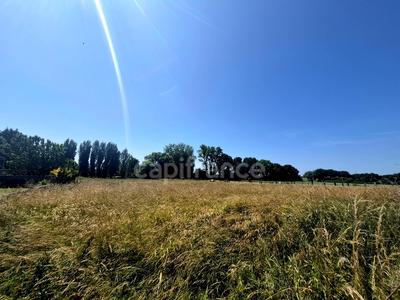 Terrain constructible - 3 816 m²