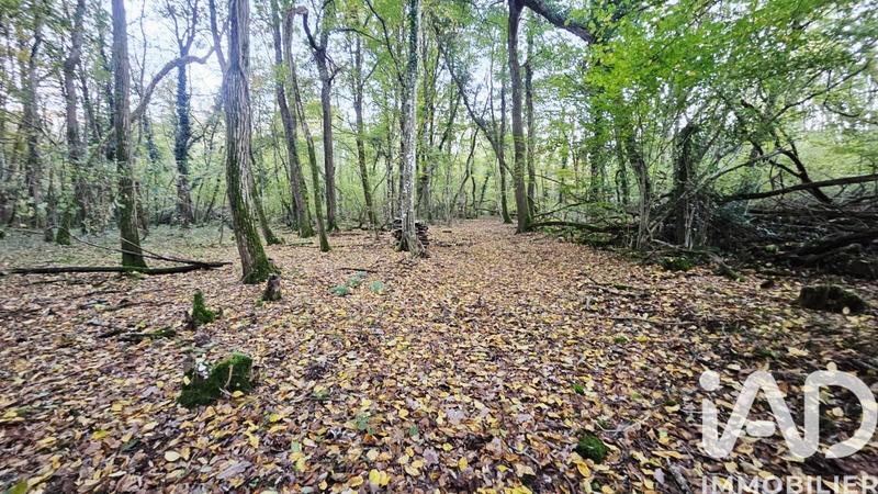 Terrain - 25 548 m²