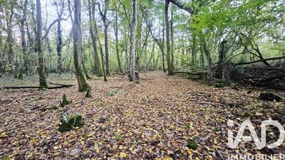 Terrain - 25 548 m²