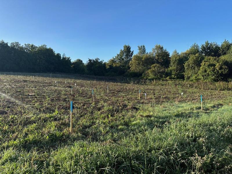 Terrain constructible - 410 m²