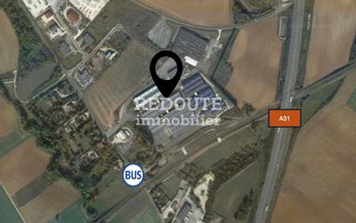 Entrepôt - 9 000 m²