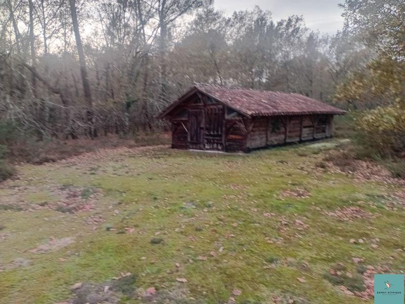 Maison de domaine - 150 m² - 6 pièces