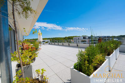 Appartement - 93 m² - 4 pièces