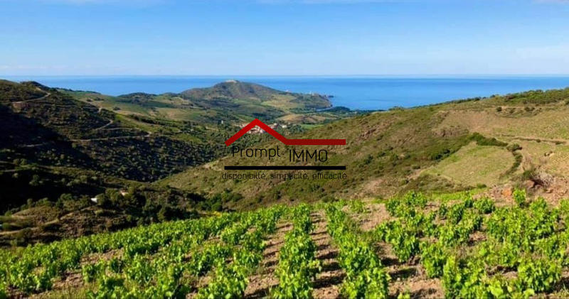 Terrain agricole - 48 000 m²