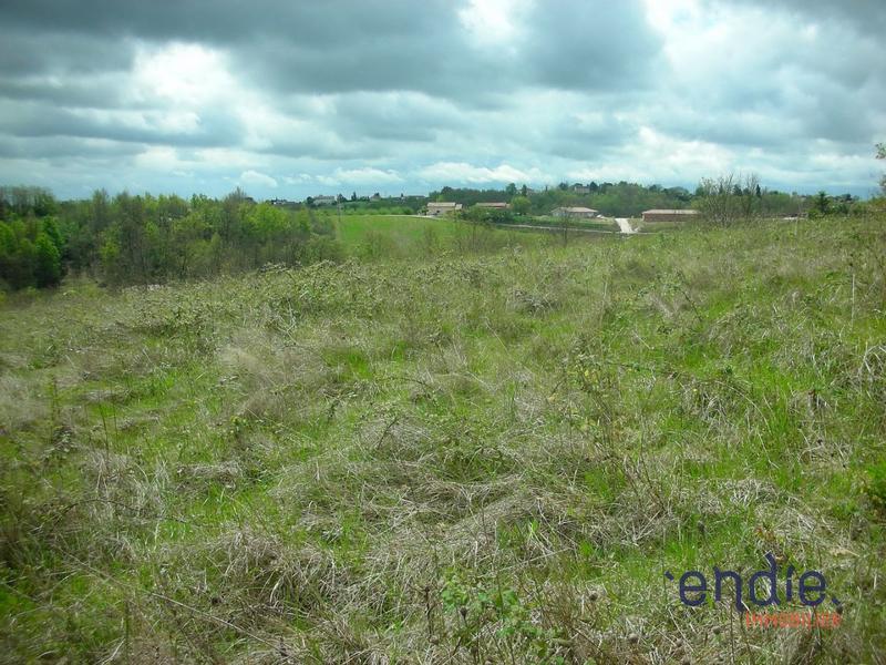 Terrain - 21 946 m²