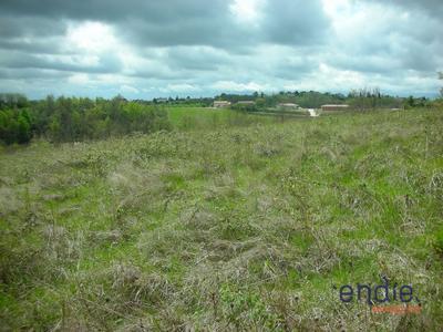 Terrain - 21 946 m²