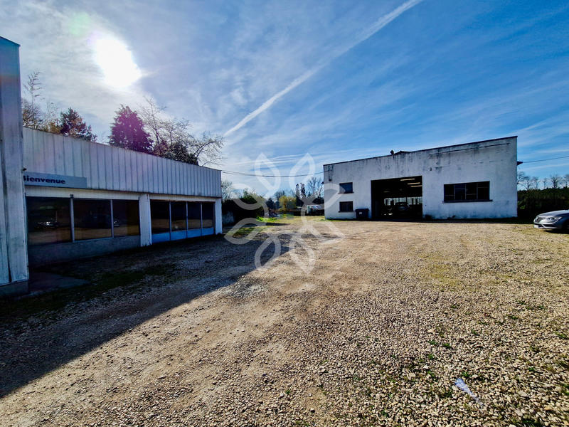 Local commercial - 520 m²