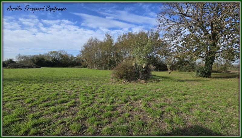 Terrain constructible - 3 741 m²