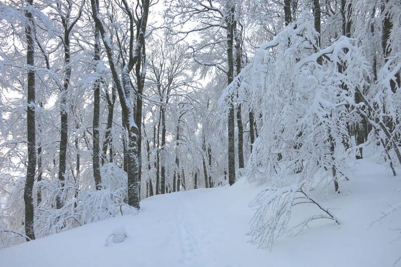 Club Vosgien : Séjour ski ou raquettes à Morzine