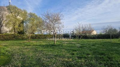 Terrain constructible - 1 487 m²