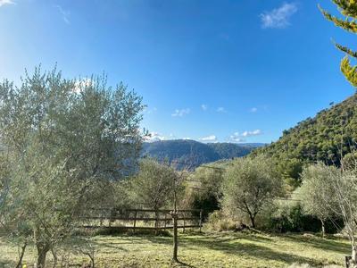 Terrain inconstructible - 2 400 m²