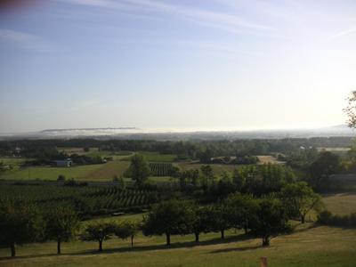 Terrain - 31 309 m²