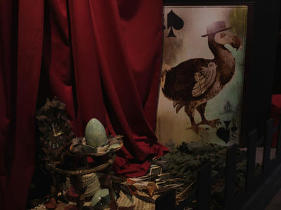 Visites flash animée "Aliçe et les drôles d'oiseaux