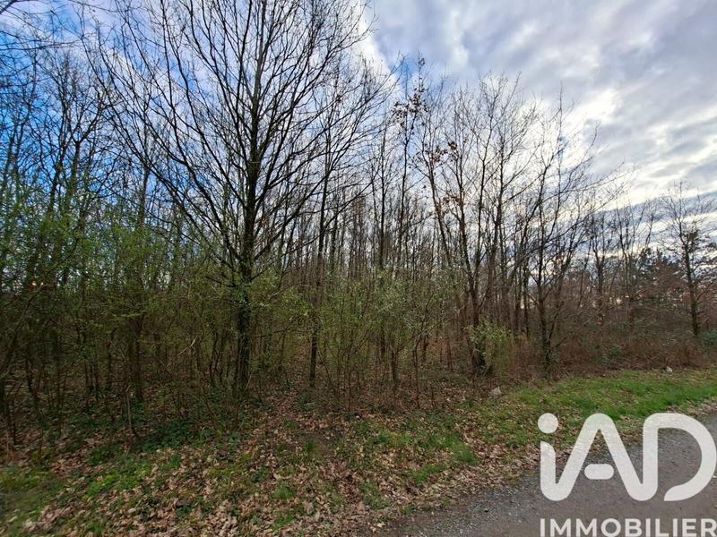 Terrain - 12 130 m²