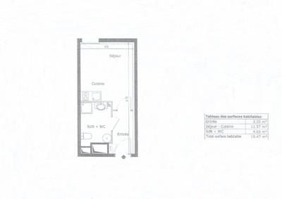 Appartement - 19 m² - 1 pièce