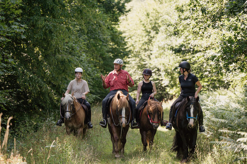 Randonnée à Cheval (Journée) - Écurie de la Forêt de Lyons