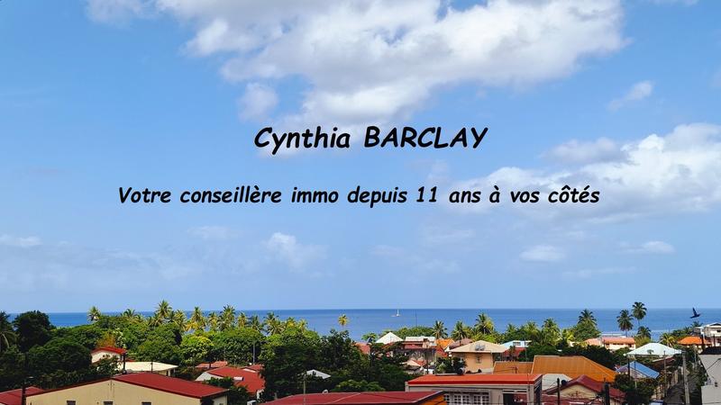 Maison - 230 m² - 6 pièces