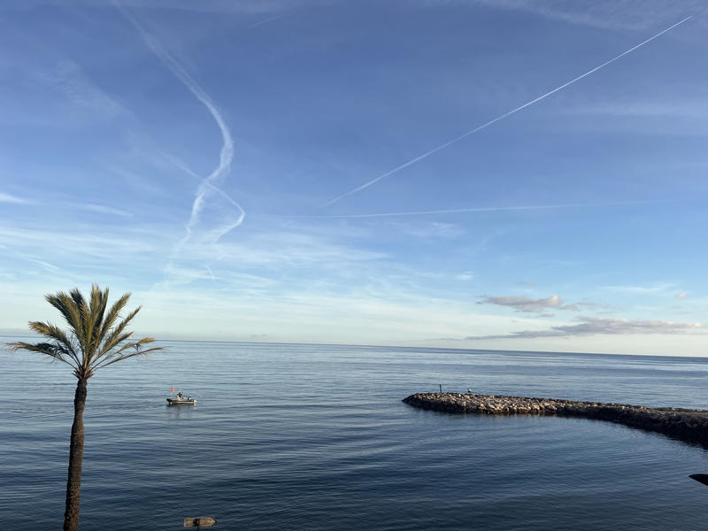 Appartement - 38 m² - 1 pièce