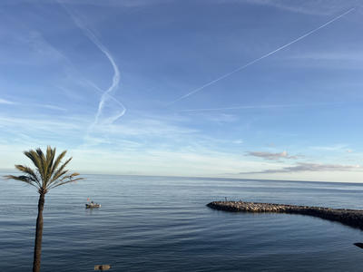 Appartement - 38 m² - 1 pièce