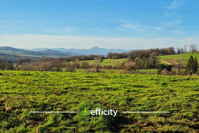 Maison - 300 m² - 3 pièces