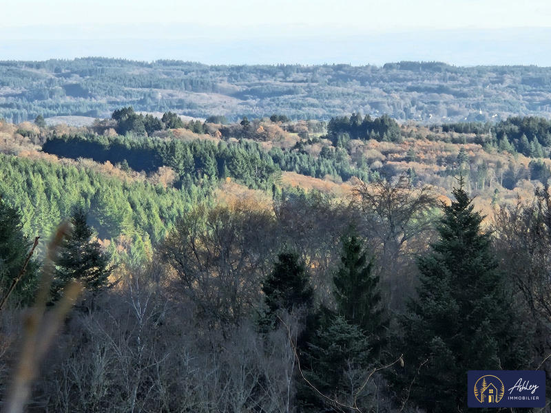 Maison ancienne - 30 m² - 1 pièce