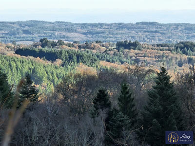 Maison ancienne - 30 m² - 1 pièce