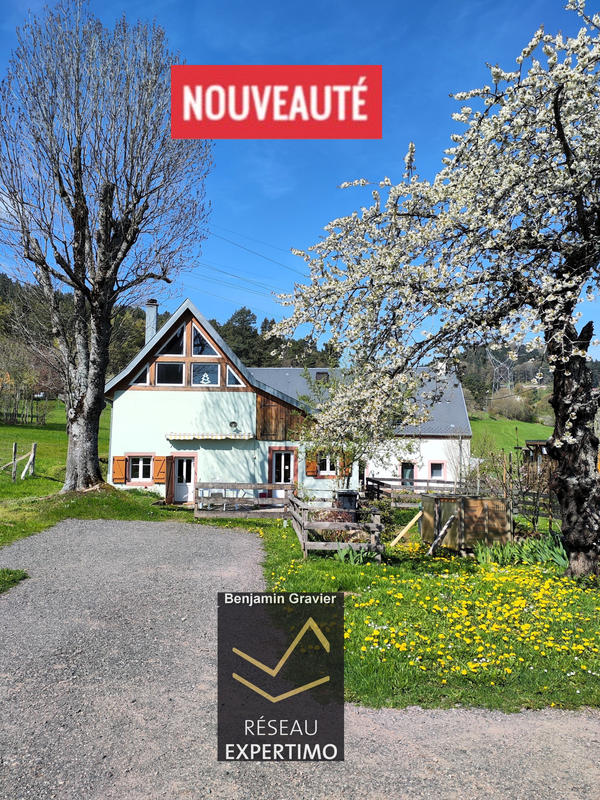 Propriété - 300 m² - 9 pièces