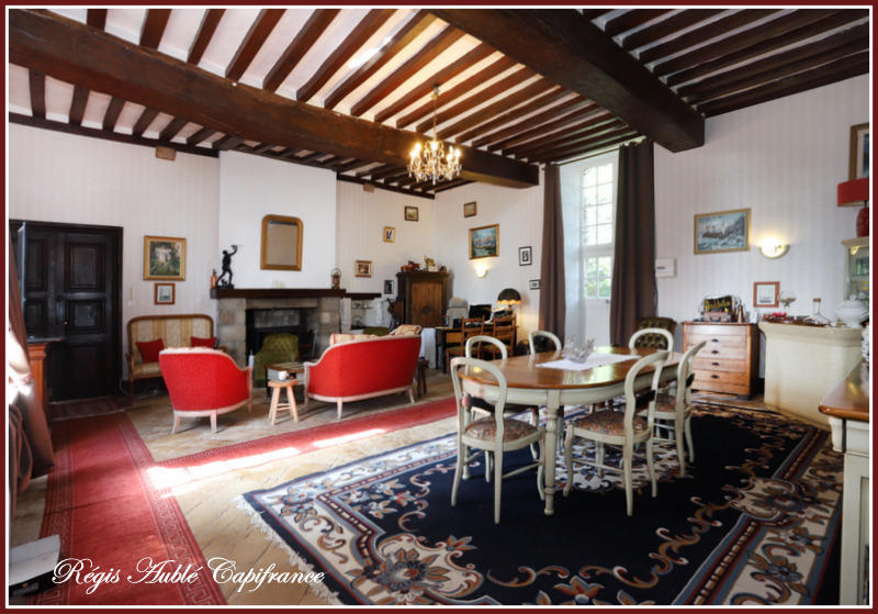 Château - 1 500 m² - 20 pièces