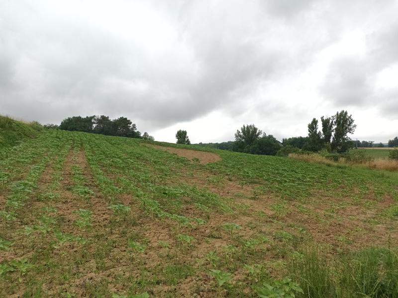 Maison - 113 m² - 4 pièces