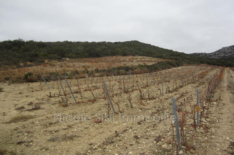 Terrain agricole - 13 501 m²