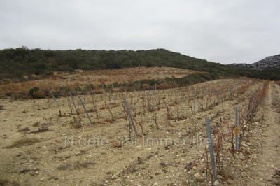 Terrain agricole - 13 501 m²