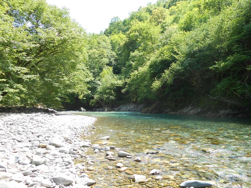 Sortie nature Cpie Pays Basque : "Les petites bêtes aquatiques"