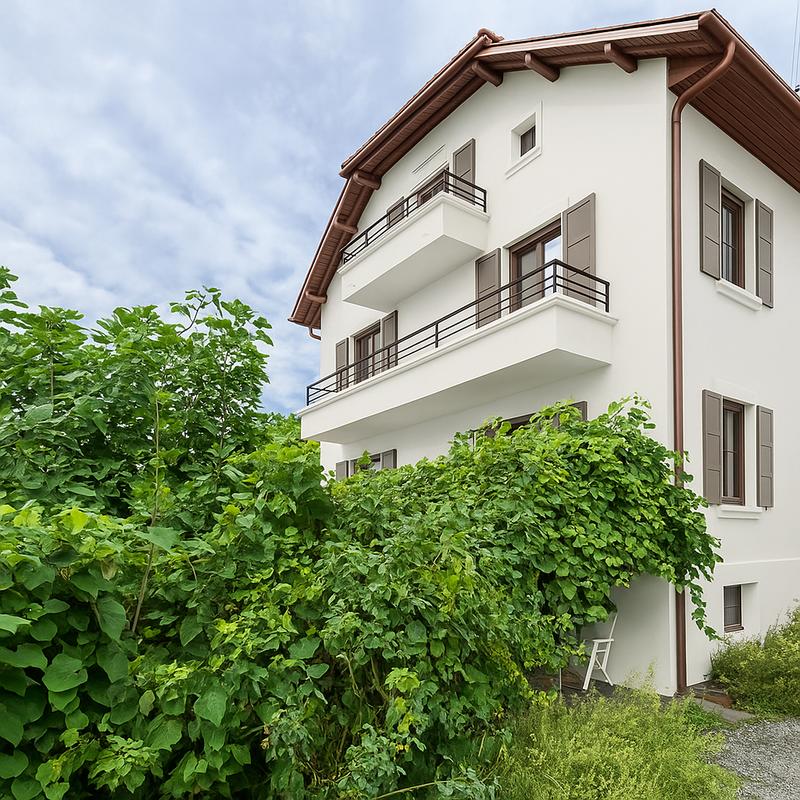 Maison ancienne - 200 m² - 8 pièces