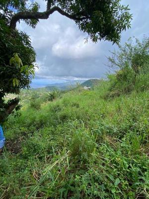 Terrain - 10 800 m²