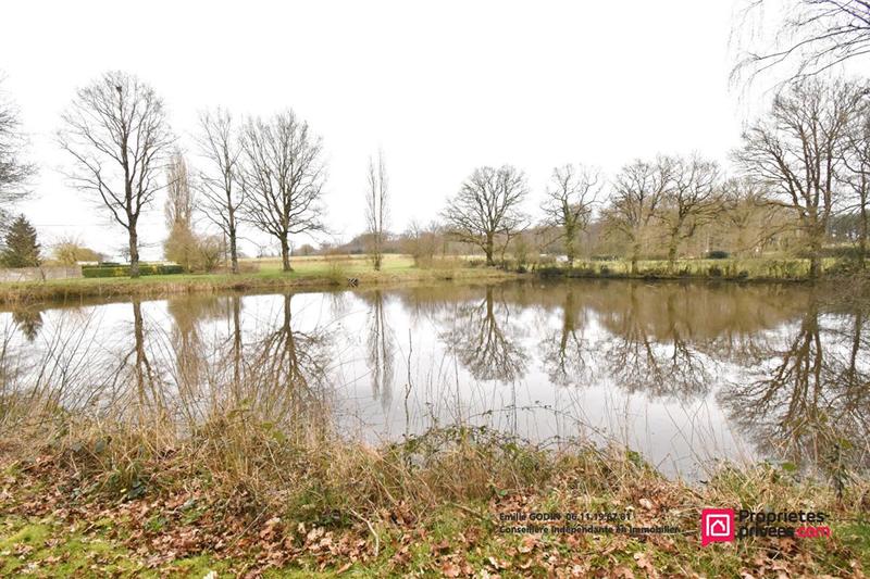 Terrain de loisirs - 11 556 m²