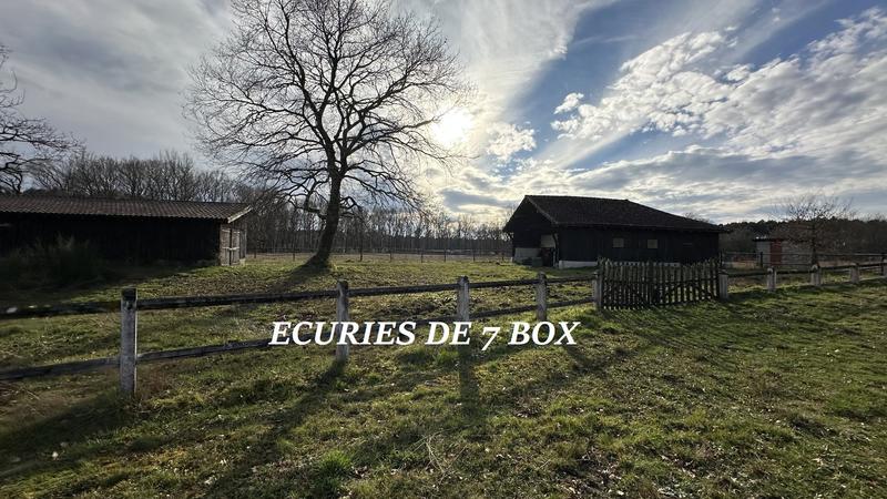 Propriété - 200 m² - 7 pièces